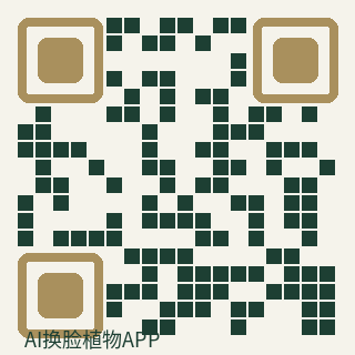 AI换脸